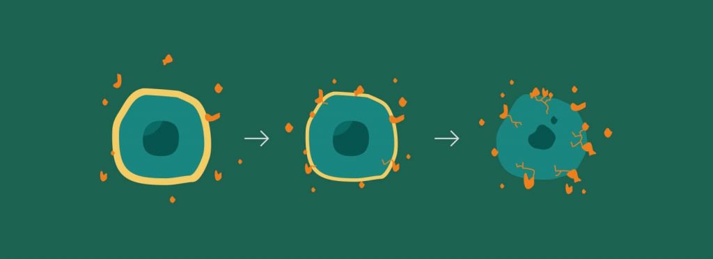 Pagerinkite imuninę sistemą