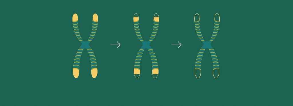 Skatinkite naujų ląstelių gamybą​